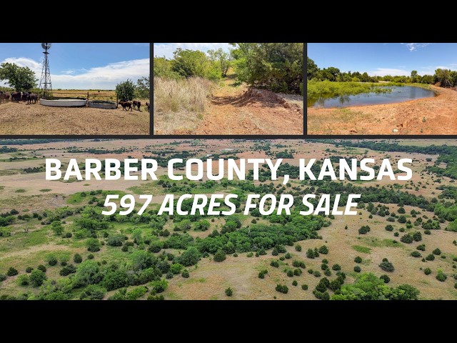 Plum Thicket Ranch | 597 Acres of Legendary Kansas Trophy Whitetail Hunting