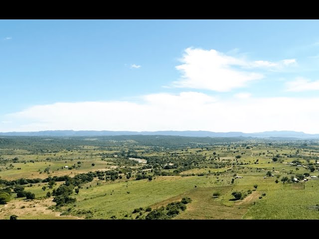 Introducing Ihanzu: Contexts, Basics, and Puzzles