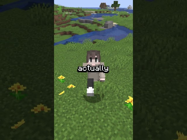 BEST Java/Bedrock Minecraft Server 🔎 #minecraft #gaming #earthsmp #smp