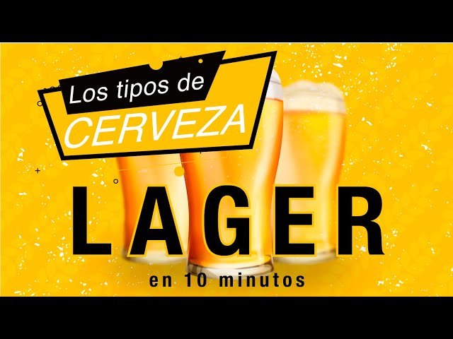 Los tipos de cerveza 🍺 Lager 🍺 en 10 minutos 👈
