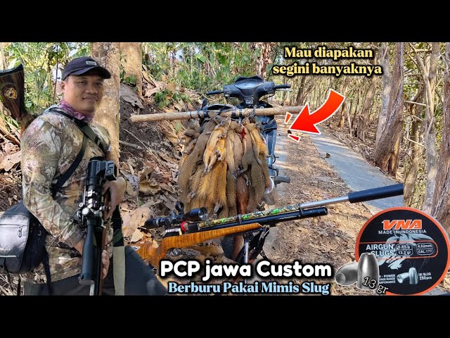 HUNTING COCONUT SQUIRRELS IN THE MOUNTAINS | HUNTING SQUIRRELS WITH A CUSTOM JAVA PCP AIR RIFLE