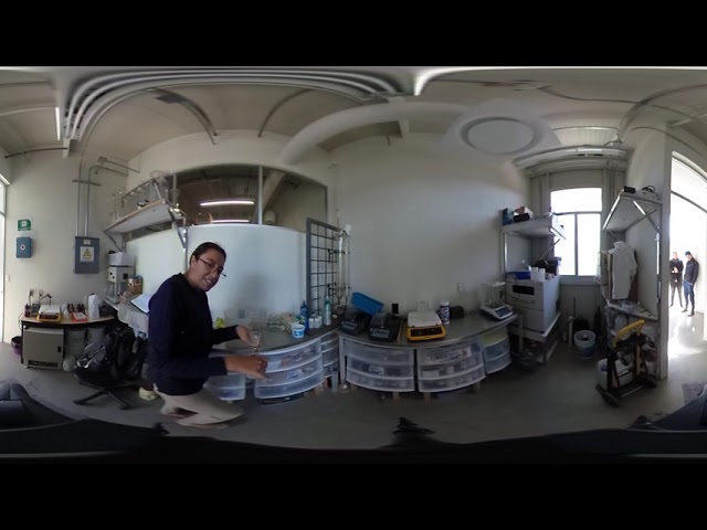 Prueba Video 360 (laboratorio de biología)