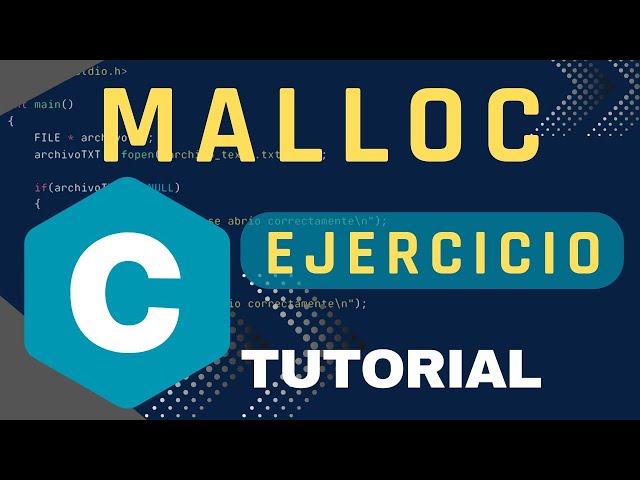 Programación en C: PUNTEROS | Ejercicio de vector dinámico con la función Malloc