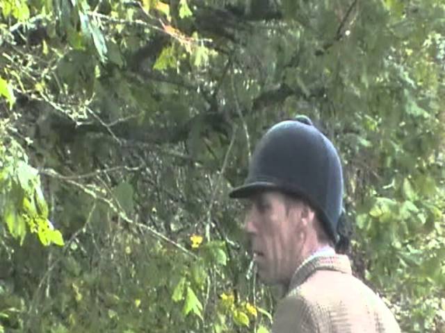 A fox tries to escape from where South Pembrokeshire Hunt are "cubbing"