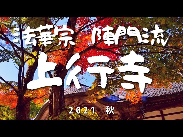 法華宗陣門流　楡原上行寺　2021秋