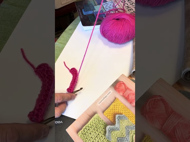Beginning Tunisian Crochet! Tunisian Purl Stitch (Tps)