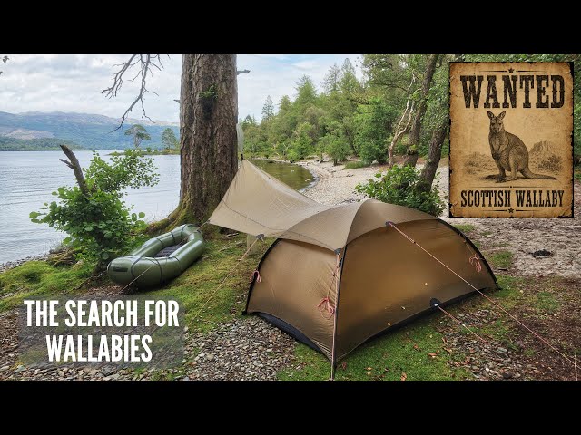 3 Day Island Camp Searching for Wallabies in Scotland | Hilleberg Niak + Tarp 5