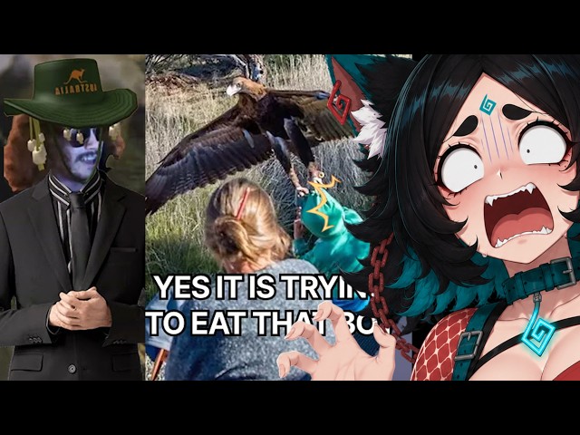 WHY AUSTRALIA? | no one is safe now | MoreParz React