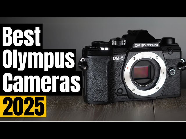 Top 5 Olympus Cameras for 2025: Which is the Right One for You? ReviewSet