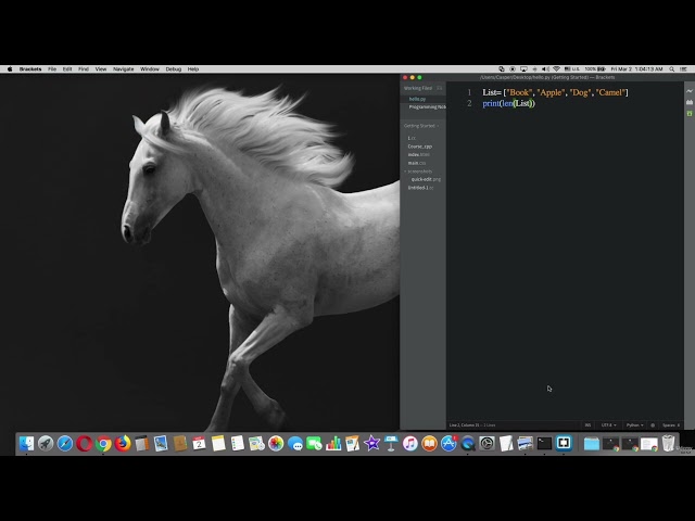 31  Using len method Python