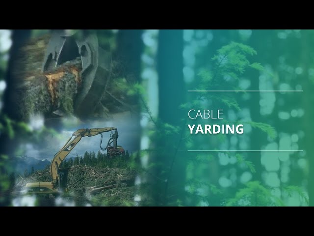 Cable Yarding
