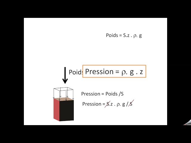 Fluid statics: Archimedes' principle