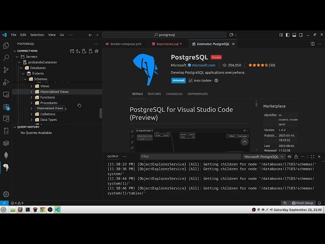 Extensiones para manejo de docker y postgresql en visual studio code