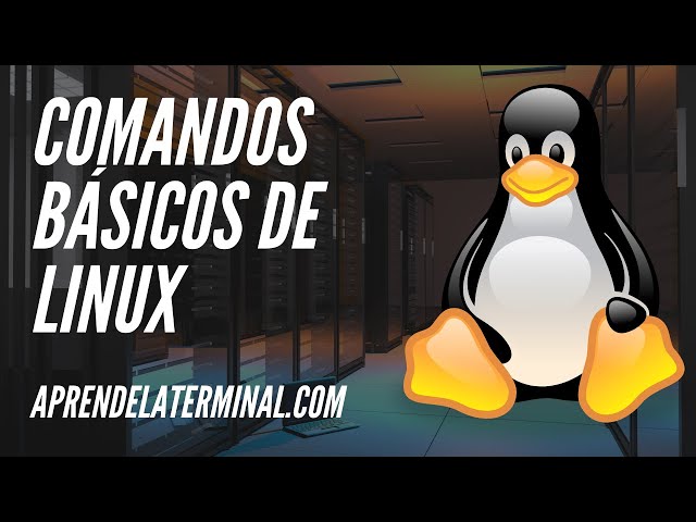 Crear y descargar archivos en la terminal de Linux
