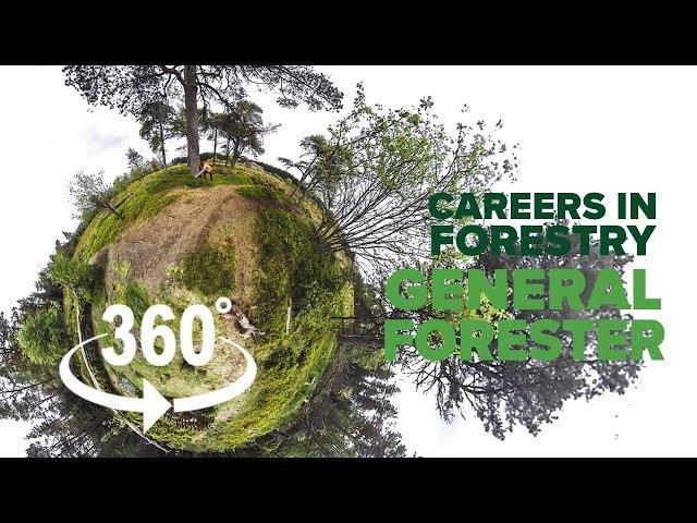 Careers in forestry: General Forester - 360° video