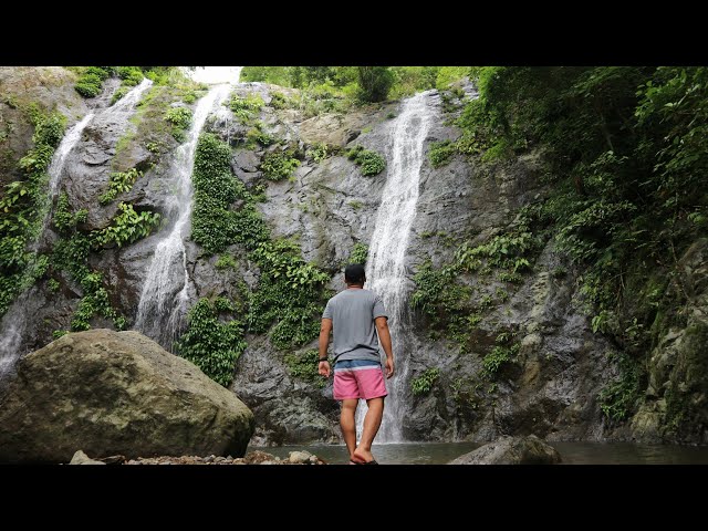 I'M BACK | NOGVISUALS