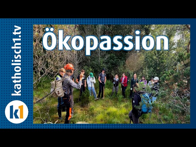 A Bog, a School, and a Project: Eco-Passion in Tutzing