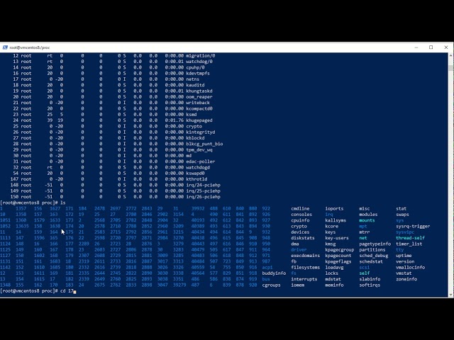 Managing Running Processes