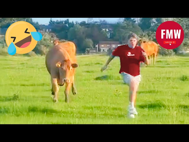 Funny & Hilarious People Life 😆 #422 | TRY NOT TO LAUGH CHALLENGE 😂 | Funny Videos Compilation 2025