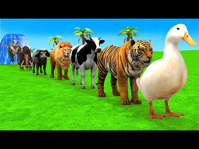 Long Slide Game With Cow Elephant Gorilla Hippopotamus Tiger 3d Animal Game Funny 3d Animals