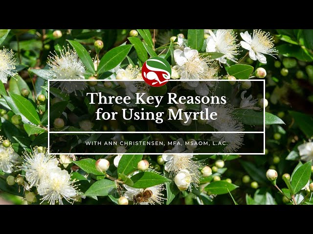 Three Key Reasons for Using Myrtle