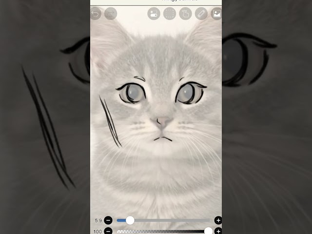 Drawing Anime with a CAT?!💗| IbispaintX #digitalart #ibispaintx #anime