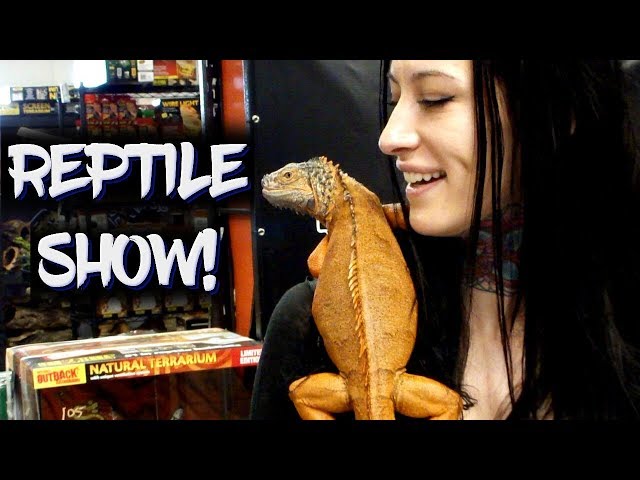 Selling Snakes at the Denver Repticon, Spring 2019, Day 2!