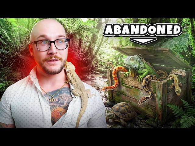 I Rescued 100 Reptiles!