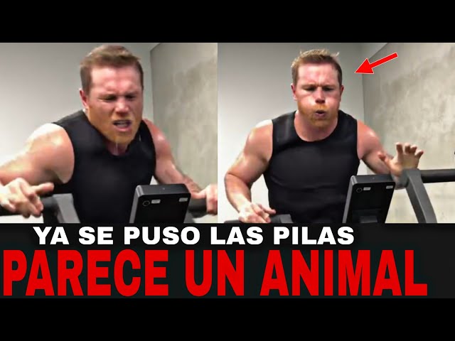 Thank God, Canelo Álvarez Heard Us