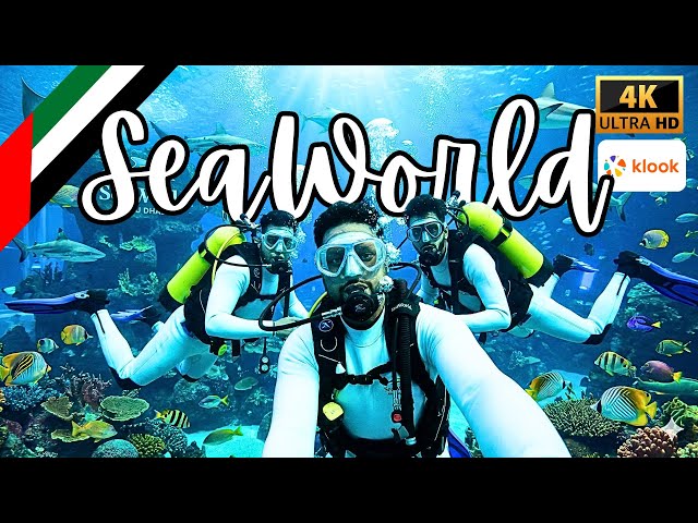 SeaWorld Abu Dhabi: The ULTIMATE Guide (2025) | Yas Island Attractions, Rides & Review