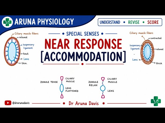 Accomodation /Near Response | Physiology | First year MBBS