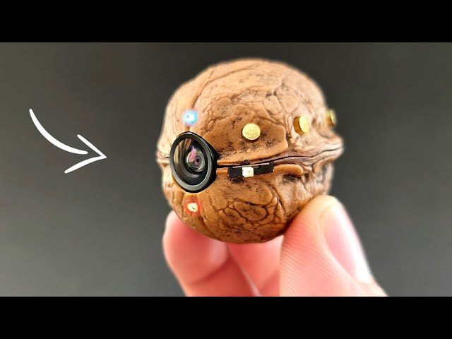 Not Just a Walnut — It’s a Secret Camera I Created!
