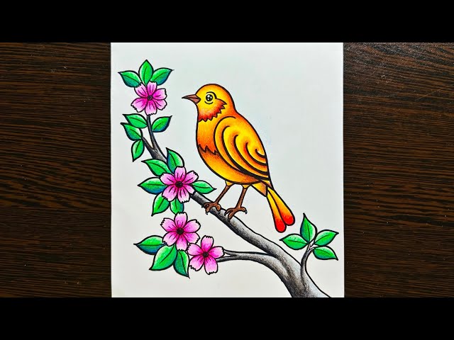 Bird Scenery Drawing || Easy Scenery Drawing for Beginner's || Bird Drawing || Creativity Studio...