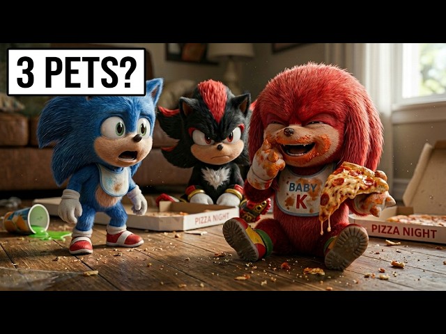 I Simulated Playing Sonic Shadow Knuckles PETS in Real Life