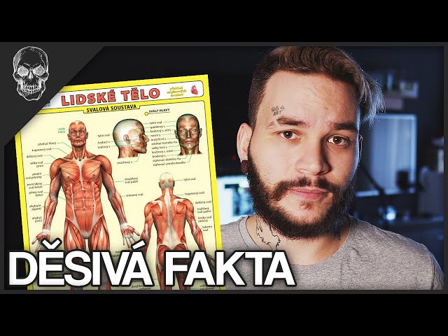 DĚSIVÁ FAKTA O LIDSKÉM TĚLE