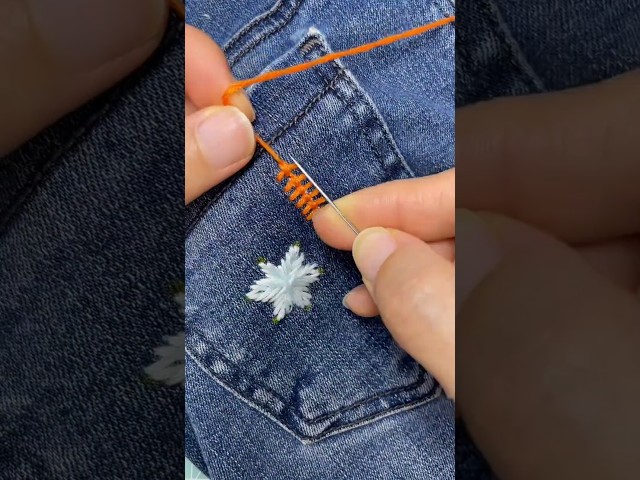 Satisfying Denim Hole Visible Mending Embroidery