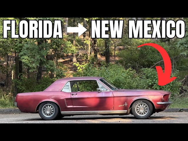 Cheapest Ford Mustang in The Country - 2,907 Miles Home