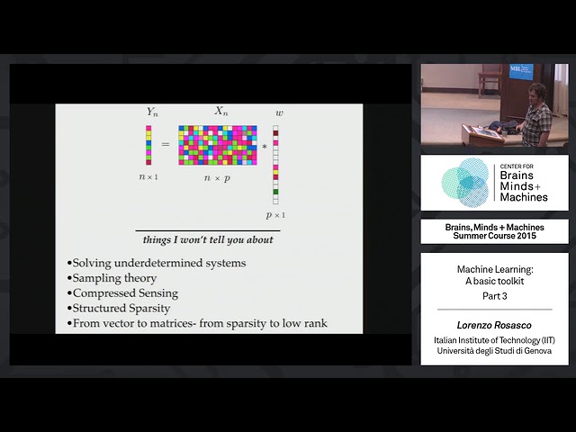 Brains, Minds and Machines Summer Course - MIT - Tutorial 3 - 3