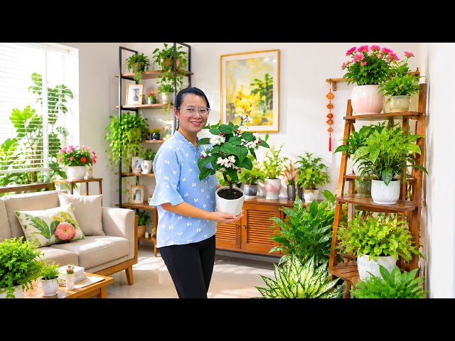 Plant Pruning Tips – The Key to Continuous Blooming | Gardening Ideas