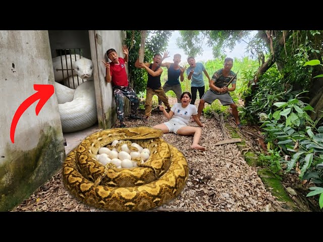Brave Hunters Resuce Young Girl from Giant Python in Abandoned House.