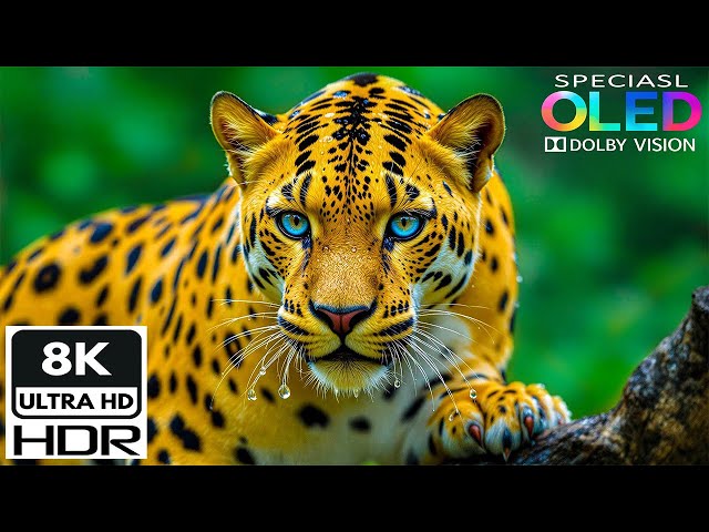 Breathtaking Natural Landscapes 🌍 Scenic Nature in Dolby Vision HDR 4K 120FPS | Ultra HD Experience