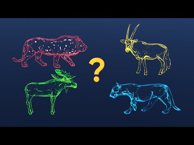 🐊🐘 Wild animals 🐅🐆🦍🦘🦧