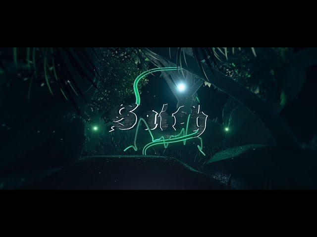 Intro SaithFX | by FlayFX (Learning more about E3😍)
