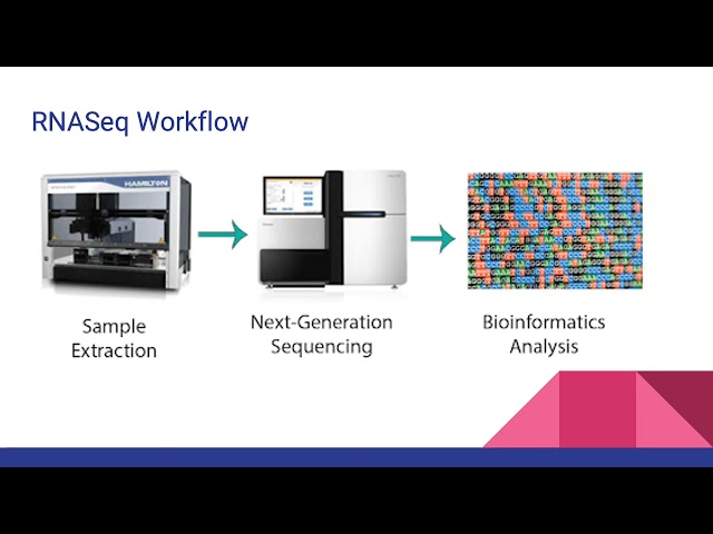 April Zhang (Research Fellowship): Machine Learning to Predict Disease Severity for COVID19 patients