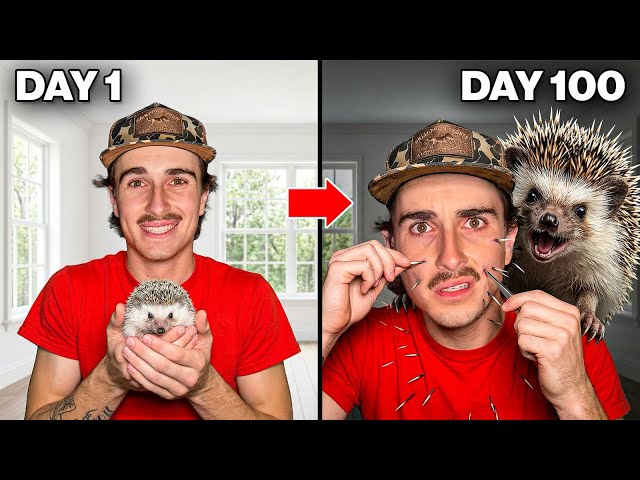I Raised a Hedgehog! (100 Day Evolution)