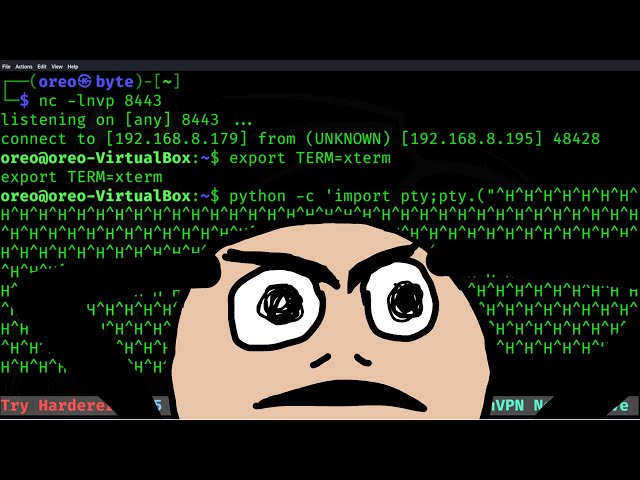 Simple Fix For Backspace Just Printing ^H In Net Cat and More.