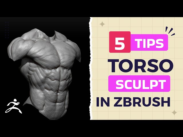Realistic Torso Sculpt in ZBrush | Beginner 3D Tutorial