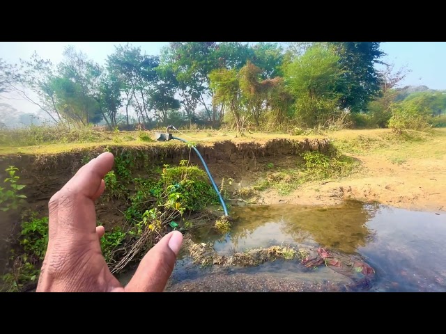 ख़तरनाक साँप नदी के किनारे ।। anaconda snake 🐍🤪 #vlogger #2026vlog #viralvideo 