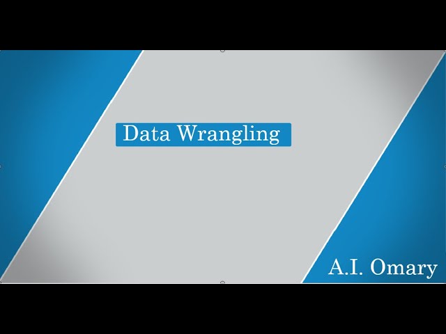 Data Wrangling With Python