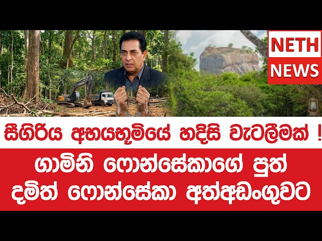 සීගිරිය අභයභූමියේ හදිසි වැටලීමක් ! ගාමිනි ෆොන්සේකාගේ පුත් දමිත් ෆොන්සේකා අත්අඩංගුවට